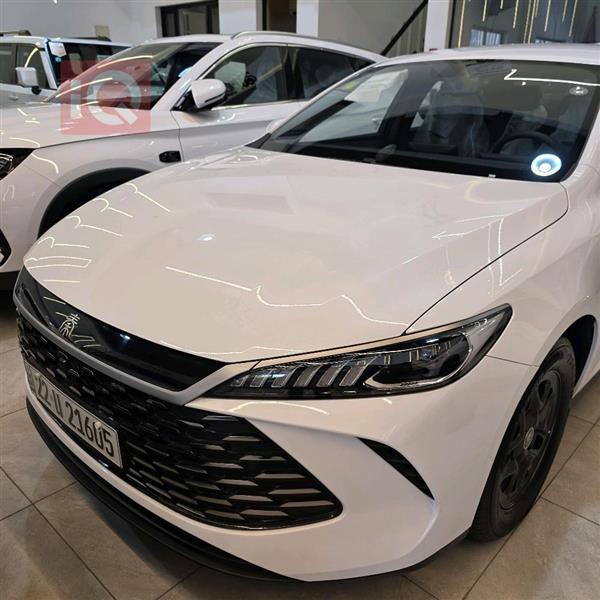 بي واي دي Qin Plus 2025 للبيع في العراق -  بغداد